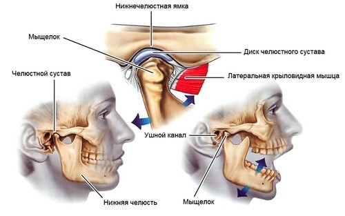 Изображение - Височно челюстной сустав лечение ustroystvo-vnchs